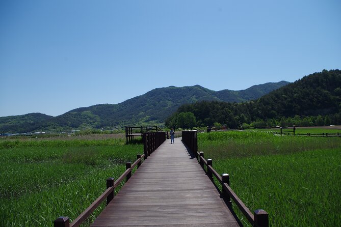 3-Day Korea Western course by K-shuttle Tour from Seoul to Busan - Logistics you should plan for: luggage, mobile ticket, and coach timing