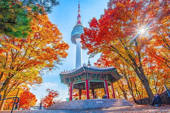 7 days Flexible Tour for Major Cities(Seoul,Busan,Gyeongju etc) - A private 7-day Korea mix you can steer