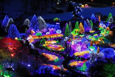 All Day Private Make your own plan tour to Nami Island and others - Start time 7:30am: how the day pace really feels