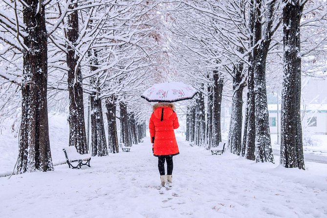 All Day Private Make your own plan tour to Nami Island and others - Petite France: puppet shows and a winter-friendly indoor break