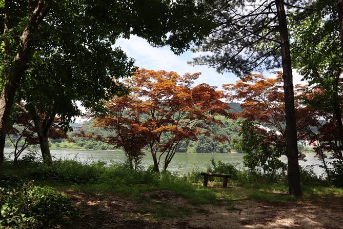 Alpaca, Nami, Petite Fr, Italian Village, Garden of Morning Calm - Key highlights to know before you go