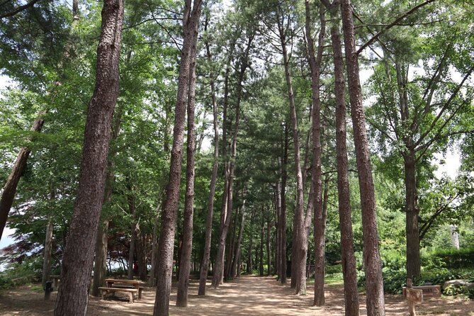 Alpaca, Nami, Petite Fr, Italian Village, Garden of Morning Calm - Stop 1: Alpaca World in the Hongcheon forest