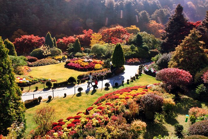 Alpaca World & Nami Island & Garden of Morning Calm One Day Tour - A countryside trio in one smooth day from Seoul
