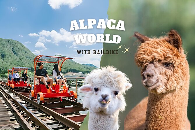 Alpaca World with Gangchon Rail Park One Day Tour - Key highlights I’d focus on