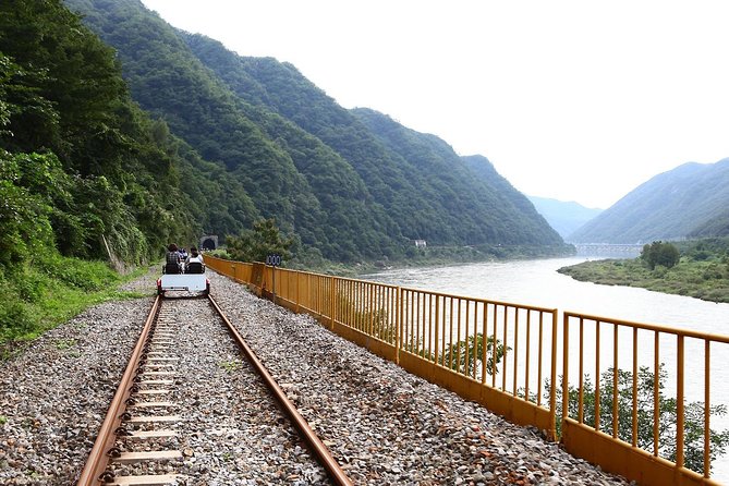 Alpaca World with Gangchon Rail Park One Day Tour - Nami Island Time and the Zip Wire Rules