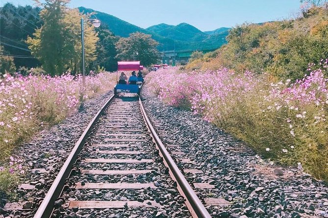 Alpaca World with Gangchon Rail Park One Day Tour - Who This Day Trip Fits Best