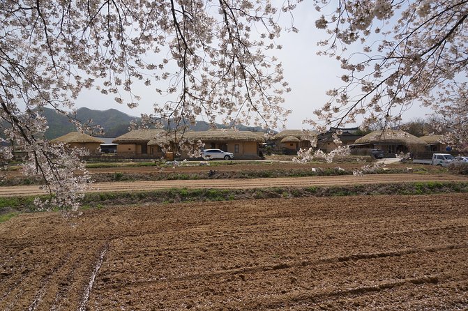 Andong Hahoe Folk Village [UNESCO World Heritage] Private Tour from Seoul - Guides Make the Difference: Pacing, Crowd Avoidance, and Photo Help
