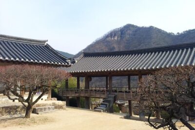 Andong Hahoe Village [UNESCO site] Premium Private Tour from Seoul - Stop 1: Andong Hahoe Folk Village village walk that feels real