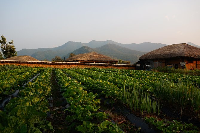 Andong Hahoe Village [UNESCO site] Premium Private Tour from Seoul - Pacing and timing: managing an 11 to 12 hour day