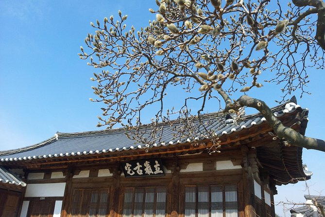 Andong Hahoe Village [UNESCO site] Premium Private Tour from Seoul - What kind of traveler should choose this tour