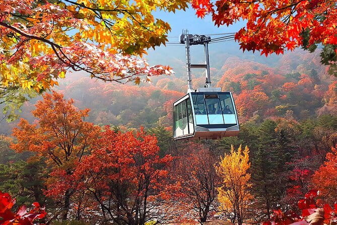Autumn Foliage-Mt. Seorak, Sokcho Fish Market, Sokcho Beach - Key things to know before you go