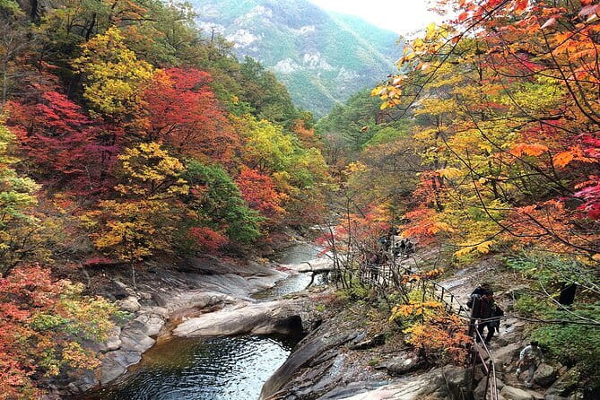 Autumn Foliage-Mt. Seorak, Sokcho Fish Market, Sokcho Beach - A one-day Seoraksan + Sokcho plan that actually saves time