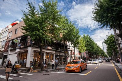 Best of Seoul Shopping Tour - Garosu-gil in Sinsa-dong: a stylish warm-up (Stop 1)