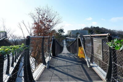 Closest Observatory to DMZ & Suspension Bridge Tour from Seoul - Aegibong Peace Eco Park: Hill 154 and the Postwar Memory