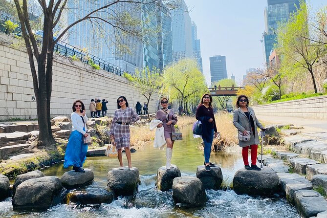 Customizable Seoul Private Tour Palaces Food and Markets - Cheonggyecheon Stream: Urban Scenery That Loves Cameras