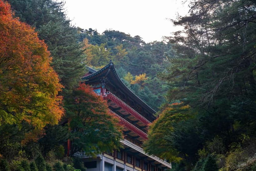 Danyang Tour:Guinsa Temple & Bobaljae & Cheongpung Cable Car - Free vegetarian temple food: simple, practical, and easy to miss