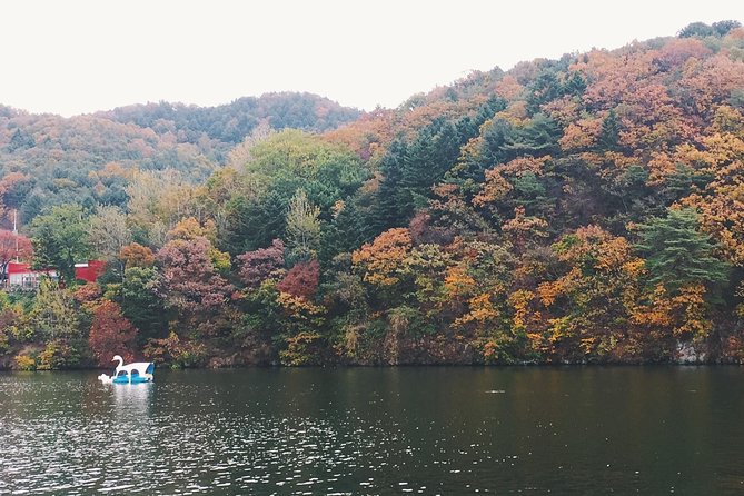 Day Tour to Gangchon Rail Bike Nami Island and Petite France - A simple day plan that gets you out of Seoul