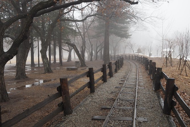 Day Tour to Gangchon Rail Bike Nami Island and Petite France - Nami Island: the drama-set island time you can actually enjoy