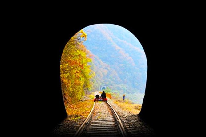 Day Tour to Gangchon Rail Bike Nami Island and Petite France - Private tour setup: who you’re counting on day-of