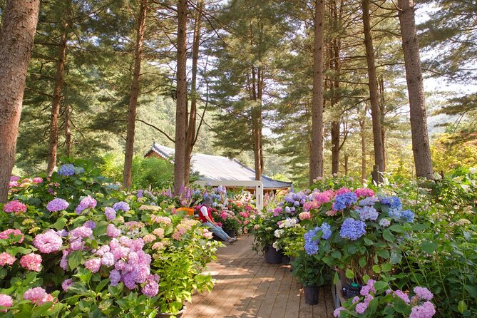 Day Trip to Nami Island with Rail bike and The Garden of Morning Calm - Gangchon Rail Bike Park: a converted track you actually pedal