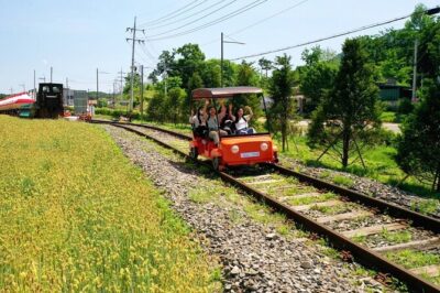 Day Trip to Nami Island with Rail bike and The Garden of Morning Calm - Garden of Morning Calm: oldest private garden and seasonal light shows