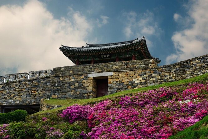 Discover Western Korea in 4days: All-Inclusive Experience - Day 3 in Boseong and Suncheon: Green Tea Terraces and Wetland Wonder