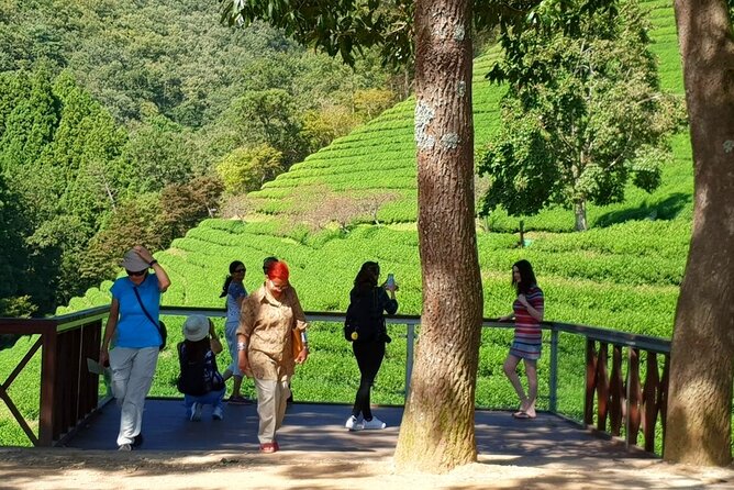 Discover Western Korea in 4days: All-Inclusive Experience - What All-Inclusive Really Covers (and What It Doesn’t)