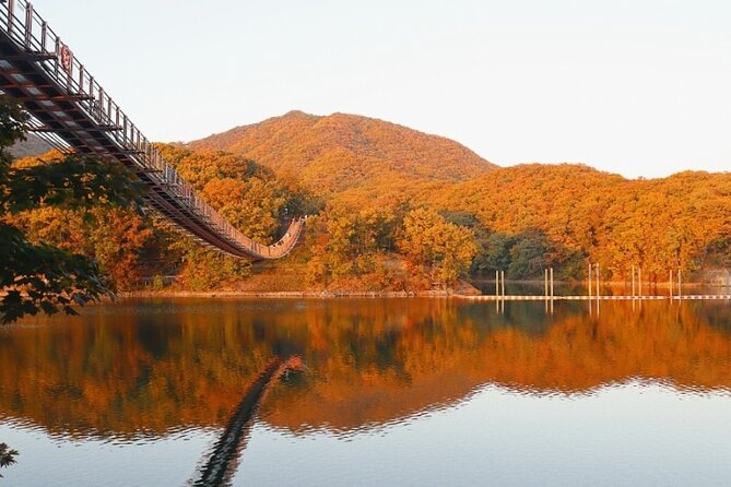DMZ Private Tour: 3rd Tunnel, Option(Suspension Bridge, Boat) - How the Guide Shapes the Whole Experience