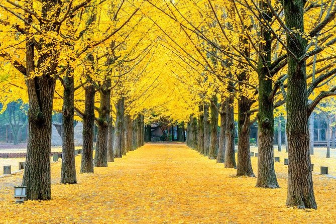 Easy private tour to Nami Island, Garden of Morning Calm - Private transfer from Seoul: the part that makes the day feel easy