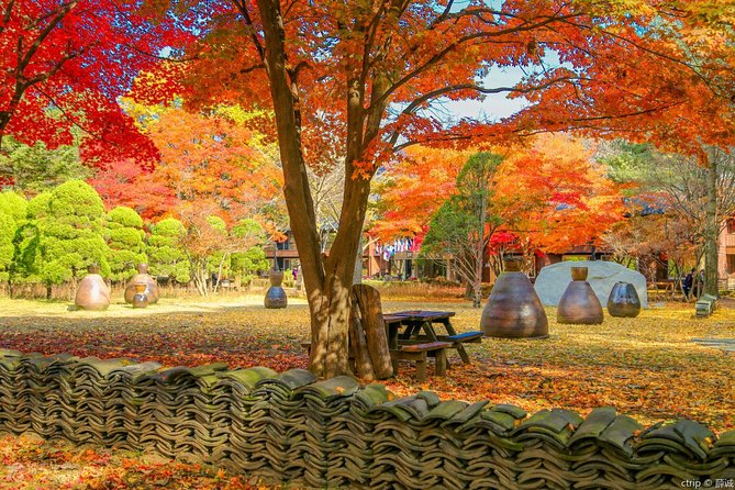 Easy private tour to Nami Island, Garden of Morning Calm - The guide experience: what stands out in real-world praise