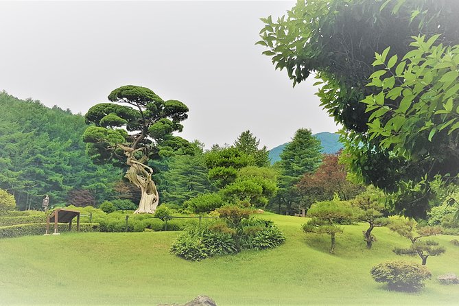 Easy private tour to Nami Island, Garden of Morning Calm - When this tour is a great match (and when it isn’t)