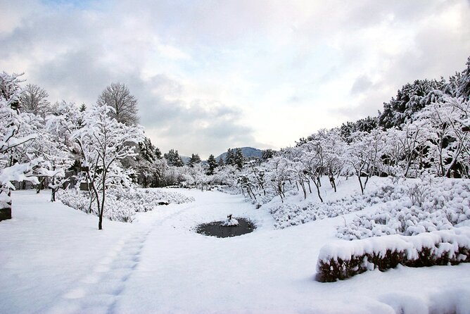 Elysian Gangchon Winter Ski with Nami Island Day Tour from Seoul - What You’ll Actually Get: Gear, Clothing, Lessons, and Small Extras