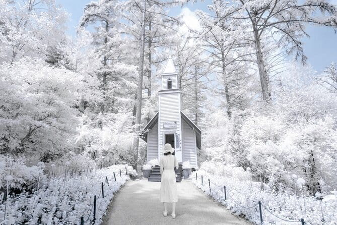 Eobi Ice Valley, Nami Island, Morning Calm and Rail Bike Seoul - Key highlights worth planning around
