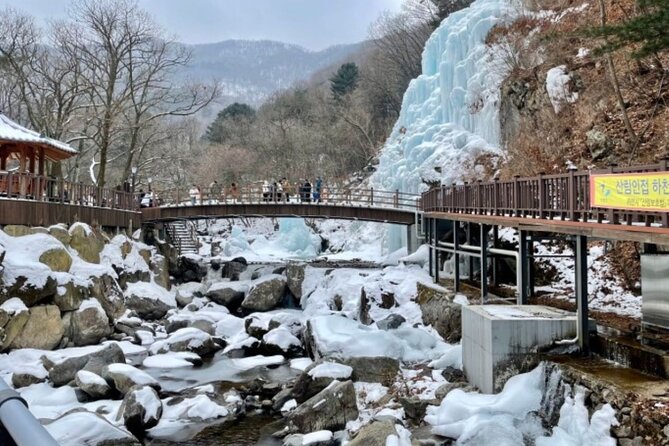Eobi Ice Valley& Nami Island with Garden of Morning Calm Trip - Key Highlights You’ll Feel During the Day