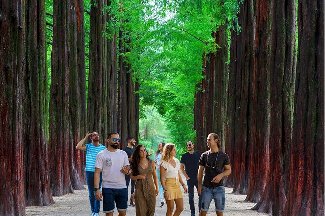 Eobi Ice Valley& Nami Island with Garden of Morning Calm Trip - Why This Seoul Day Trip Works: Two Icons in One Longish Day