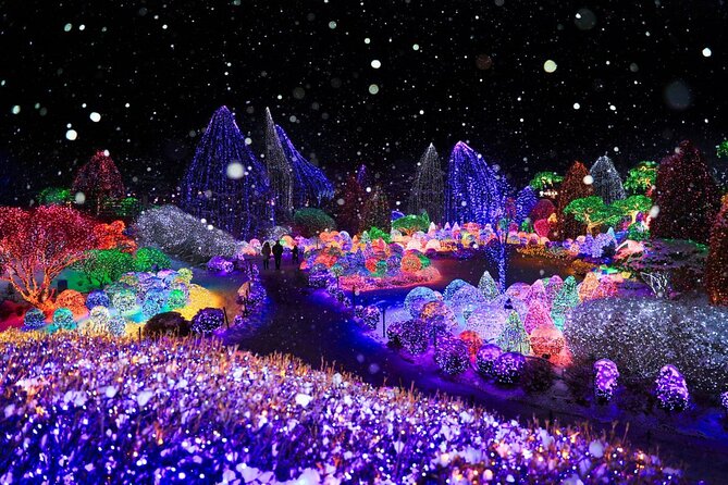 Eobi Ice Valley& Nami Island with Garden of Morning Calm Trip - Garden of Morning Calm: Korean Calm, Poem Origins, and Year-Round Displays