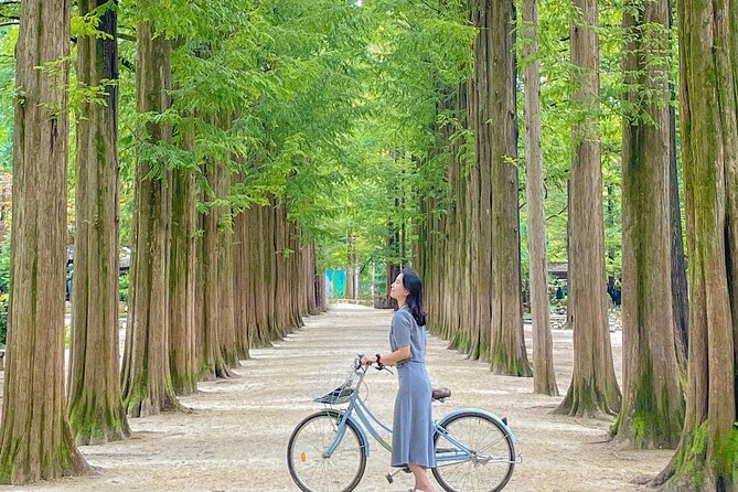 Eobi Ice Valley& Nami Island with Garden of Morning Calm Trip - Seasonal Bonus: Eobi Ice Valley and Petite France Photo Spots