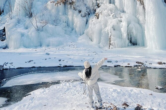 Eobi Ice Wall & Nami Island & Morning Calm Light Festival - Key Highlights You’ll Actually Care About