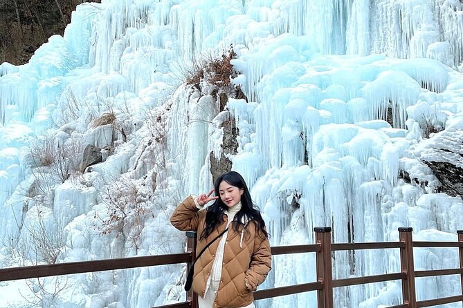 Eobi Ice Wall & Nami Island & Morning Calm Light Festival - Garden of Morning Calm Light Festival: One Hour of Night Views