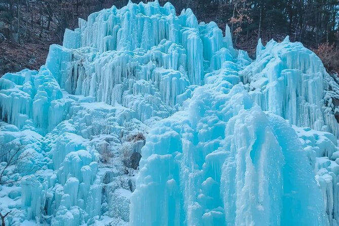 Eobi Ice Wall & Nami Island & Morning Calm Light Festival - Price and Value: What $74.33 Really Buys You