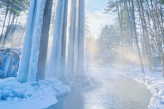Eobi Ice Wall & Nami Island & Morning Calm Light Festival - Guides on This Route: Sky, Kathy, and Jun Set the Tone
