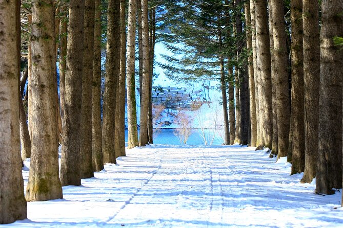 Eobi Ice Wall & Nami Island & Morning Calm Light Festival - Smart Tips to Get More Out of Eobi + Nami + Morning Calm