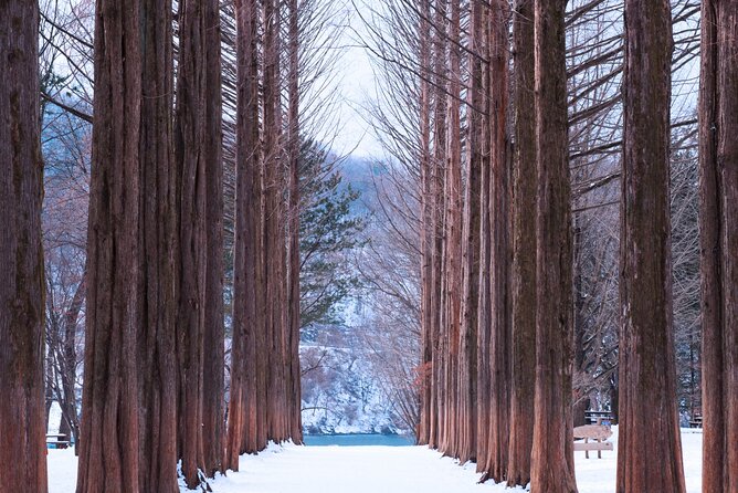 Eobi Valley(Winter), Strawberry, Nami Island & Railbike fr Seoul - A four-stop countryside day from Seoul