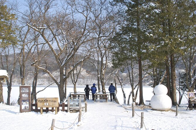 Eobi Valley(Winter), Strawberry, Nami Island & Railbike fr Seoul - Who should book this tour (and who should skip it)