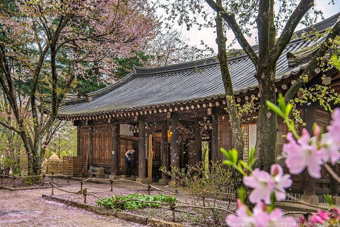 Eobi+Nami+Hanbok Tour with Rail Bike or Strawberry Option - Key highlights at a glance