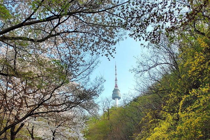 Essence of Seoul, 100% Private Full Day City Tour - Jogyesa Temple: a calmer pause in the middle of the day