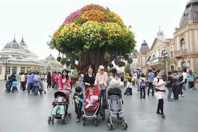 Everland Amusement Park with free-ride Ticket - Hotel pickup and a small group that actually works