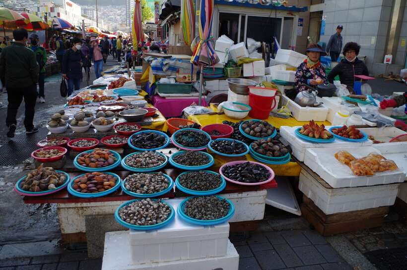 From Seoul: 5-Day Tour of Korea with UNESCO Sites - Key Points If You Want the Big Picture Fast