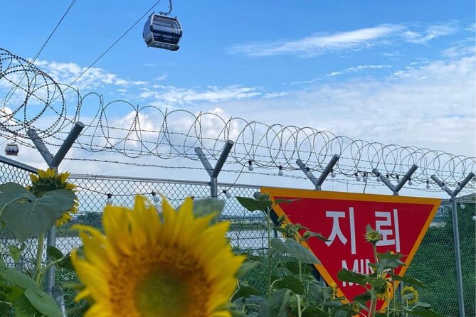 From Seoul: Cost-Benefit DMZ Shuttle Bus tour - What’s included vs. what you pay later
