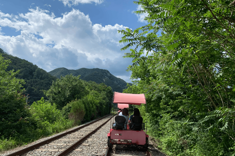 From Seoul: Full Day Trip to Alpaca Farm with Rail Bike - Alpaca World: feeding 50 alpacas and meeting the animal crowd